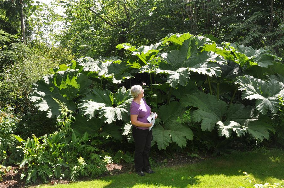 J�tterabarber var det inte...