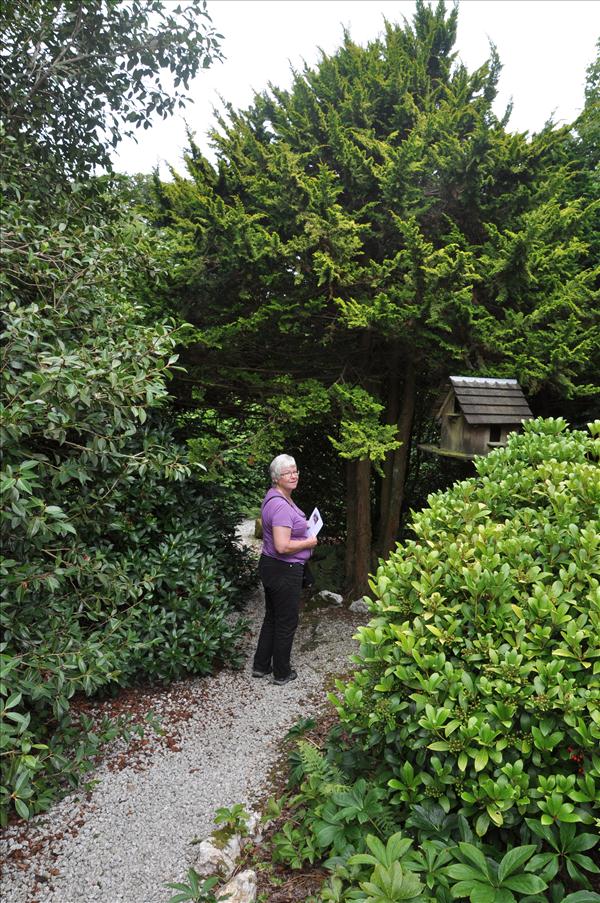 Nu har vi kommit till den tredje tr�dg�rden, Ken-Caro Garden vid Liskeard