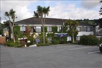 Baksidan av v�rt hotell med palmer