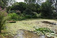 Dammen �r naturlig, inte anlagd