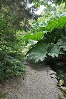 Ibland var det sv�rt att komma f�rbi v�xterna