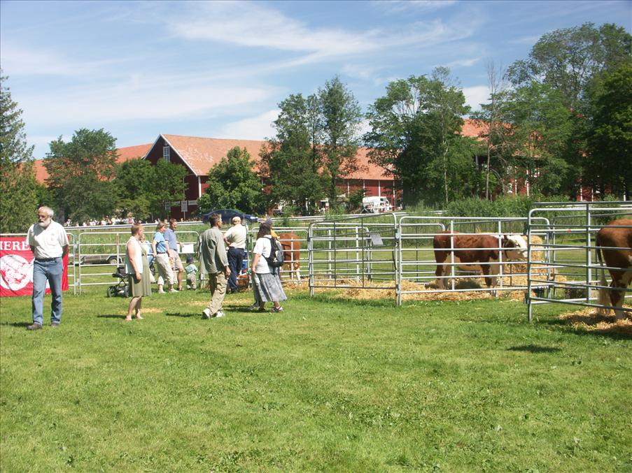Hereford