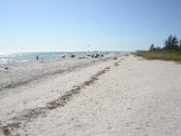 DSC 7008