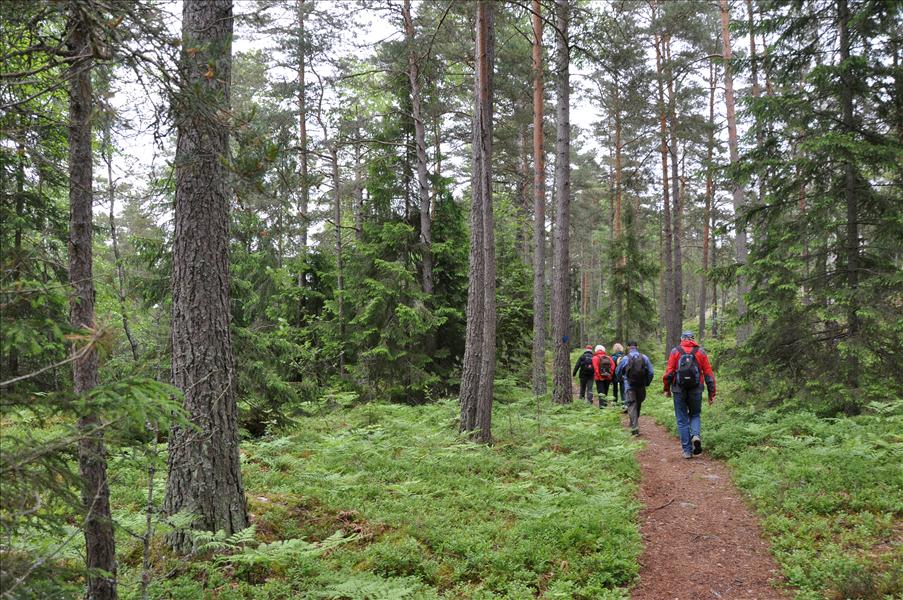 P� v�g mot luftv�rnsbatterier.