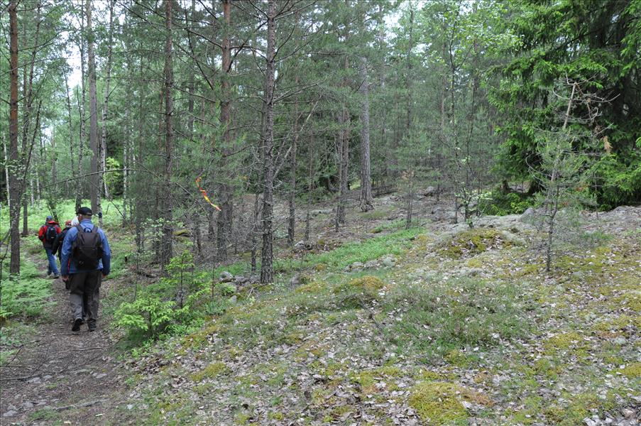 Alla sm� stenh�gar h�r �r gamla stens�ttningar