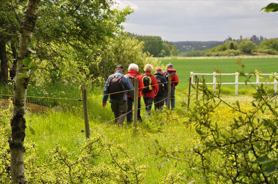 Solen skiner och terr�ngen �ppnar sig vid S�derby g�rd