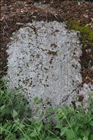 Vid v�gkanten st�tar en bergh�ll med Lov�ns enda fasta runristning, en runh�ll (Nr 14 p� kartan). Texten lyder: 