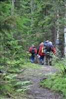 P� v�g genom skogen