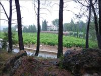 Chateau Berne i bakgrunden. Det regnar och mer skulle det bli.