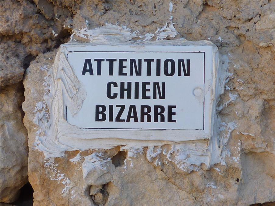 Intressant skylt i Aups (chien = hund)