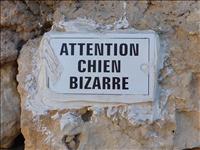 Intressant skylt i Aups (chien = hund)