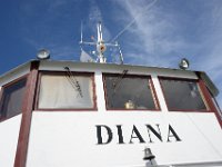 DSC 5689