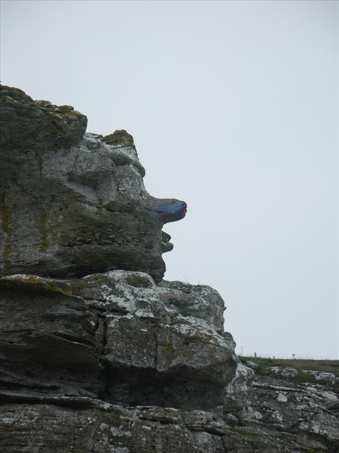 ... Hoburgsgubben