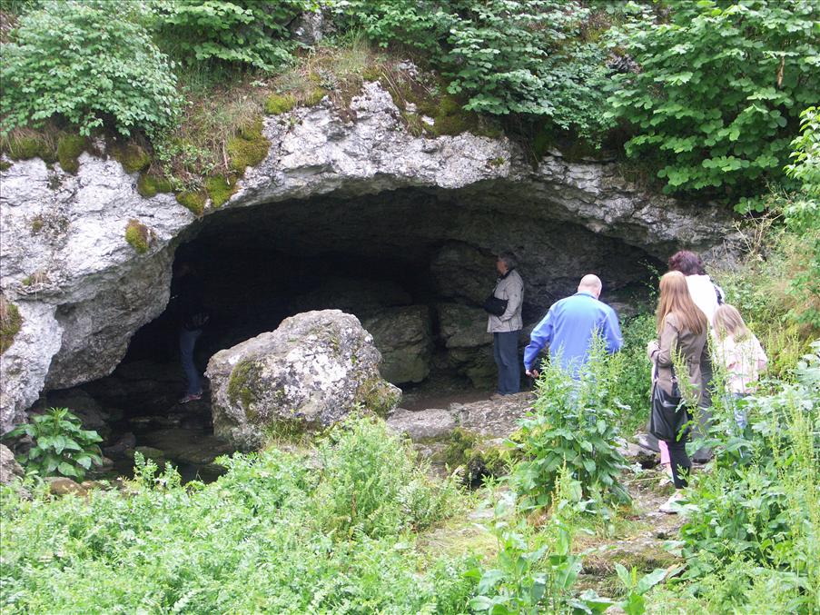 Den naturliga ing�ngen