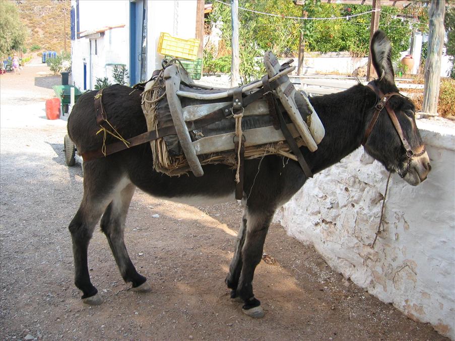 V�ntande transport
