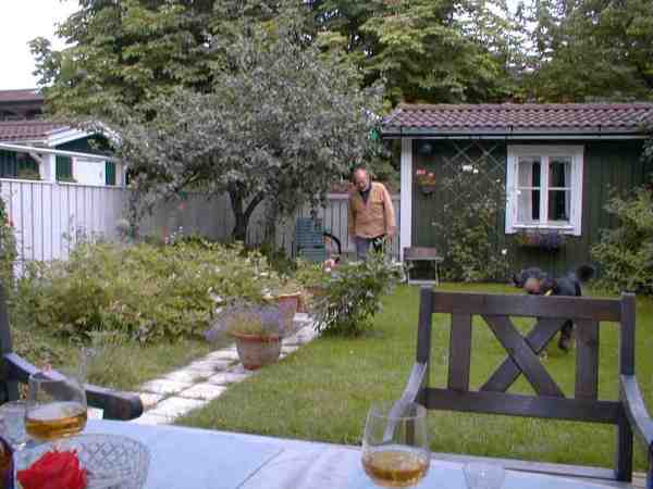 Lasse p� drift i tr�dg�rden