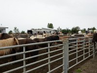 DSC 2954
