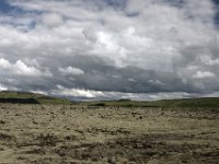 DSC 2712