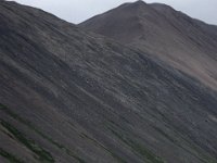 DSC 2532