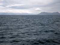 DSC 2660