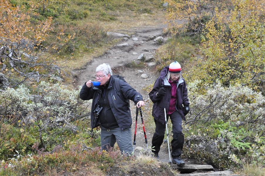 Eva har hittat en drickjokk