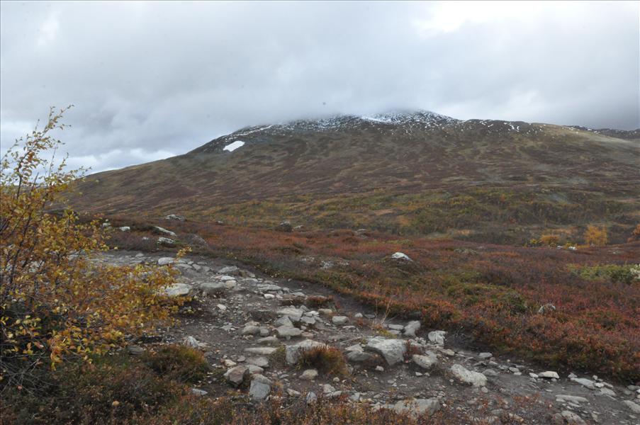 Molnen b�rjar l�tta. Vi fick senare veta att en norrman hade fotograferat en kungs�rn p� toppen av Getryggen, f�r d�r var det klart v�der