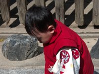 En liten japan