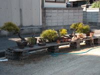 DSC 3009
