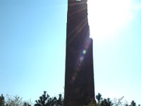 DSC 3117