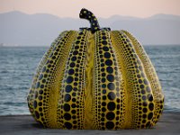 IMG 0878