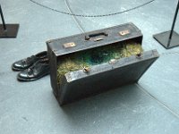 DSC 3801