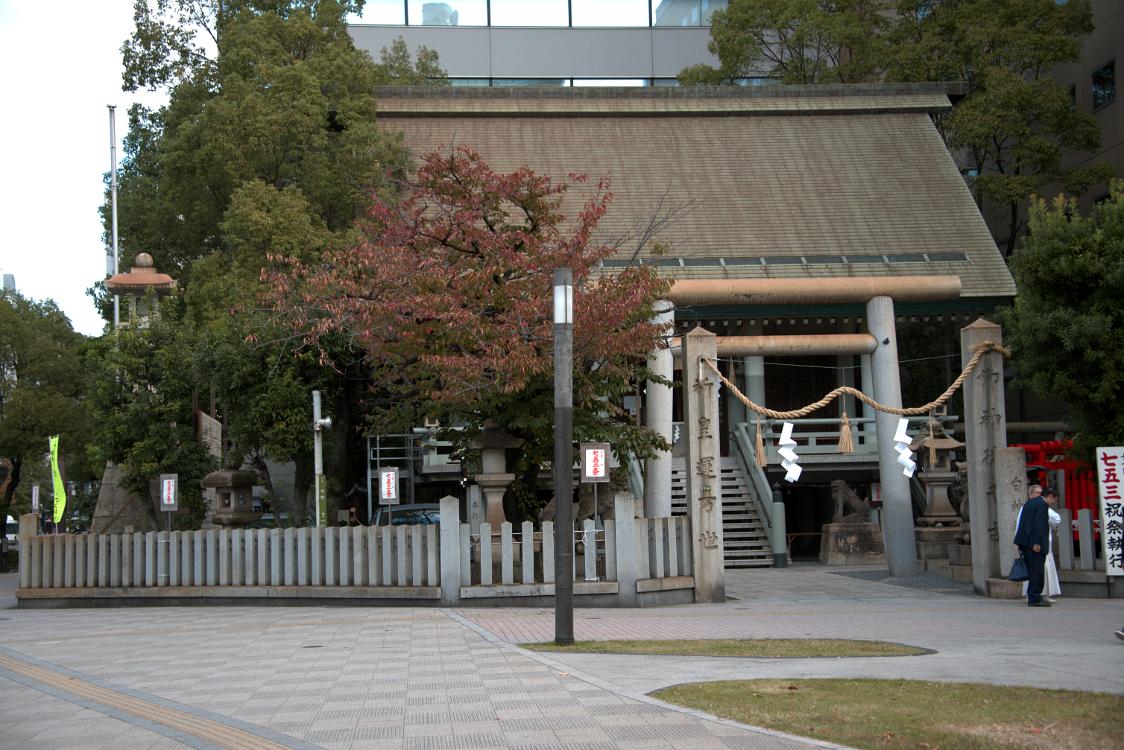 DSC 9892
