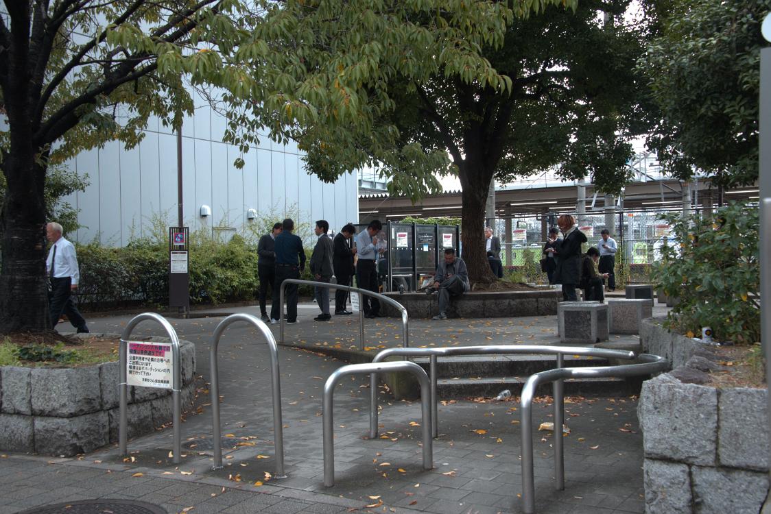 DSC 0015
