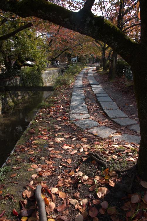 DSC 0207