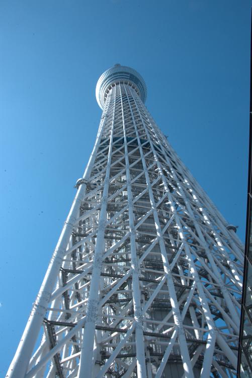 DSC 9646
