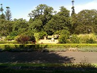 Botaniska trädgården