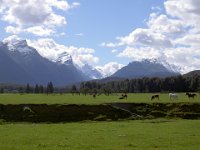 The Glenorchy District