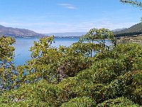 Lake Wanaka