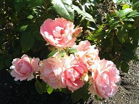 IMAG0208
