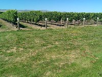 Wairau River Wines, där vi bunkrade lite.