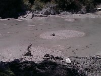Mud pool med bubblande gyttja.