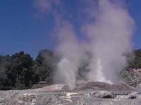 Geijser i Rotorua