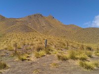 ZOE 0031