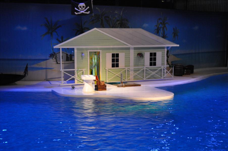 Delfinshowdax