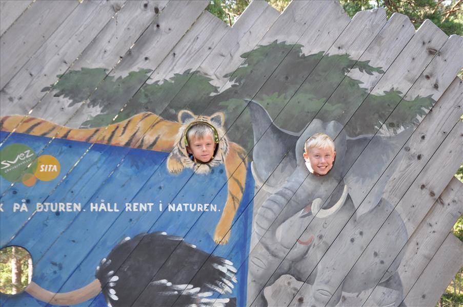Tiger och elefant