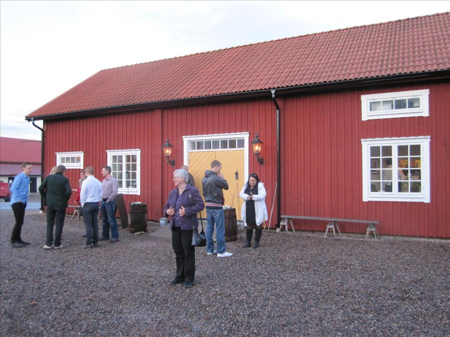 Paus
