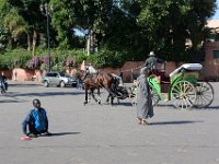 DSC 4612