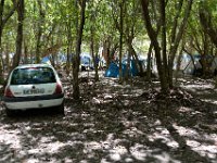 I skogen mellan vägen och stranden har man skapat tältstäder och folk har grillar och ljudanläggningar med sig