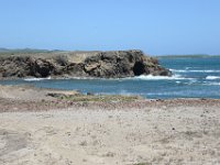 DSC 9768