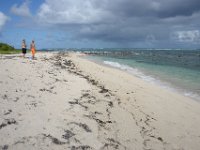 En bra bit utanför stranden slår vågorna mot reven